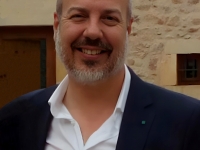 David Henales Fernández